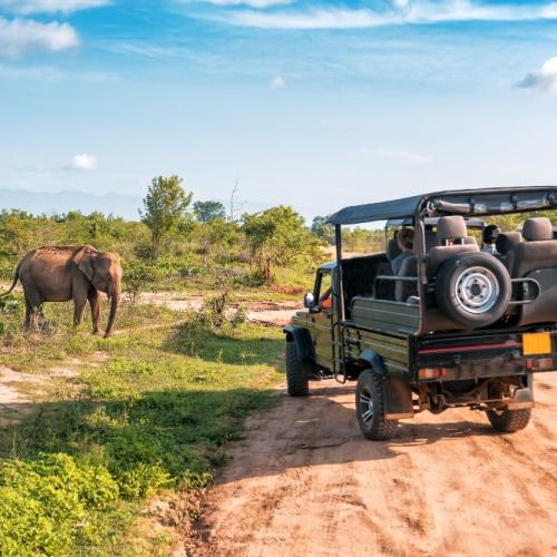 Udawalawe National Park