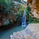 Ein Gedi