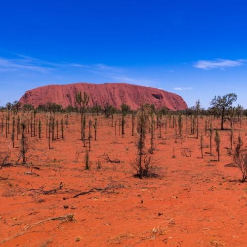 Uluru