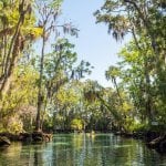 Crystal River