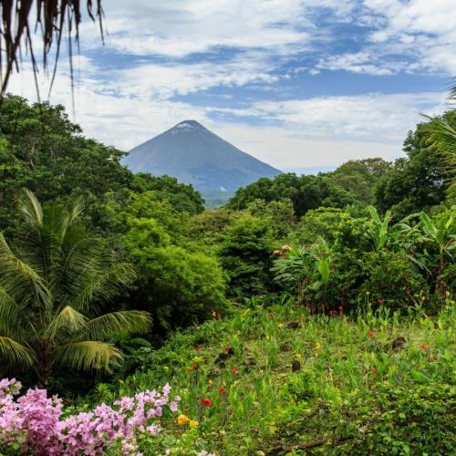 Exotische vegetatie op Isla Ometepe