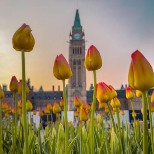 Parliament Hill