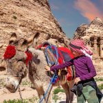 Ezel, Petra