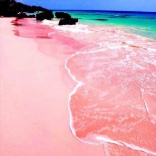 Pink Beach