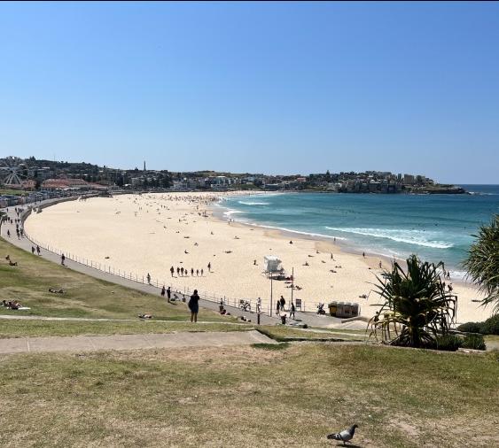 Reizigersfoto Bondi Beach