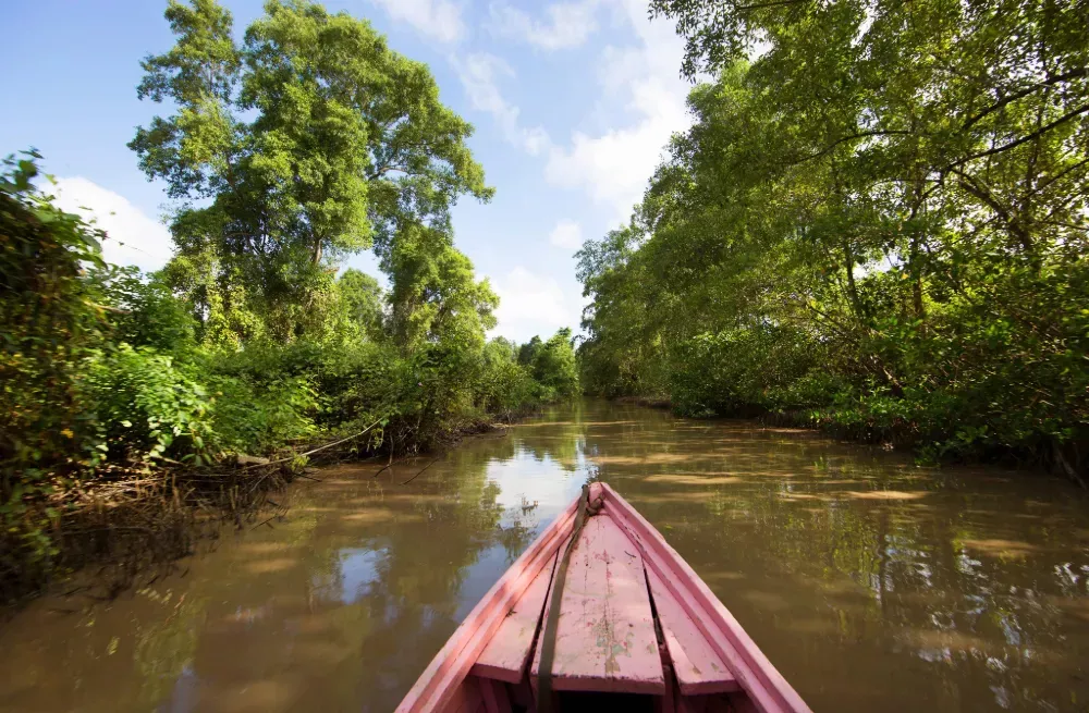 Boottocht over de Suriname rivier