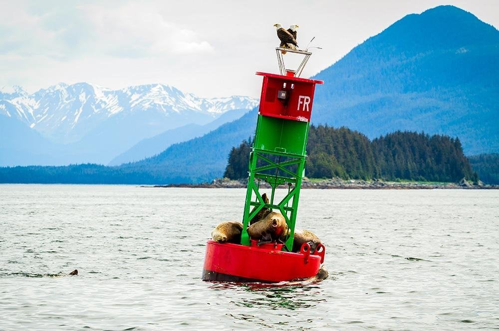 Vakantie naar Alaska & West-Canada (3)