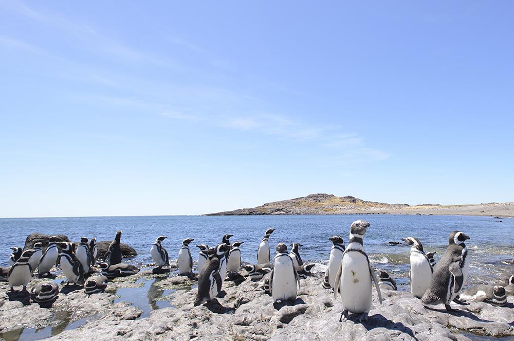 Punta Arenas
