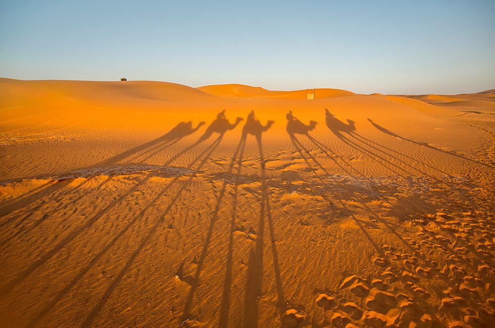 Op trekking door de woestijn