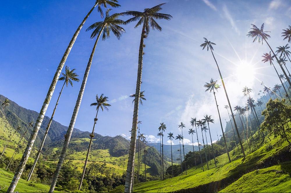 Vakantie naar Colombia (2)
