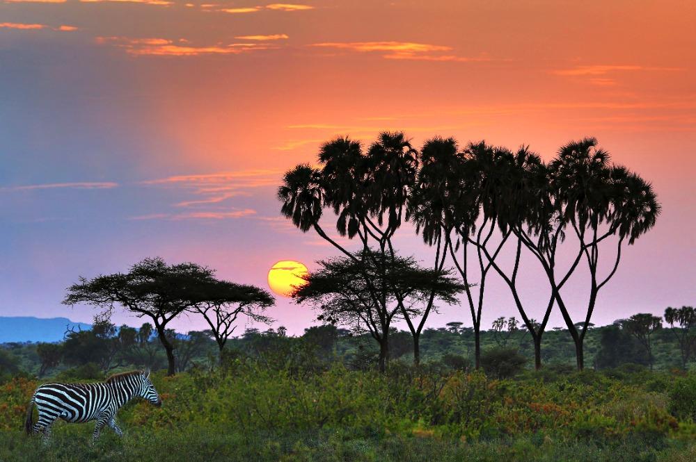 Zonsopgang in Samburu