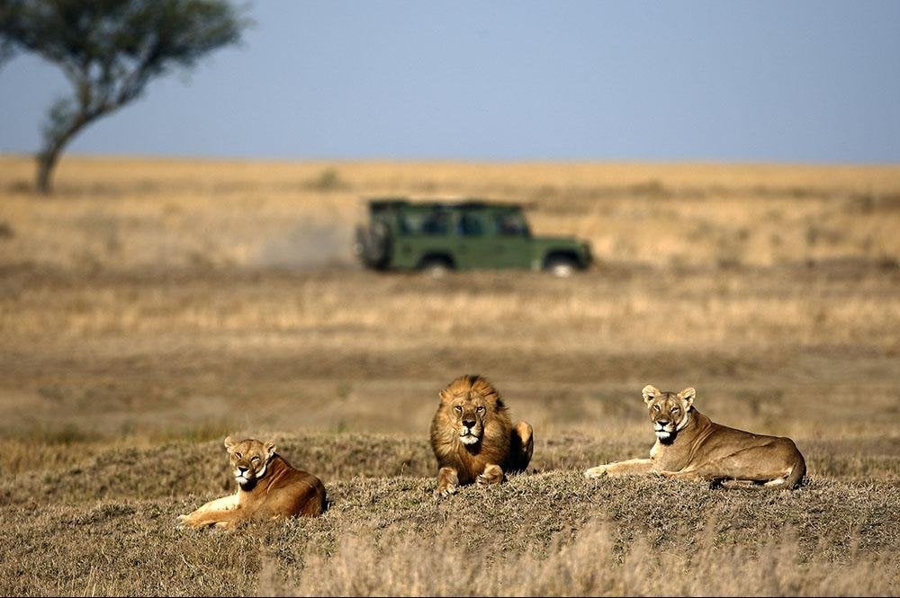 Vakantie naar Botswana (15)