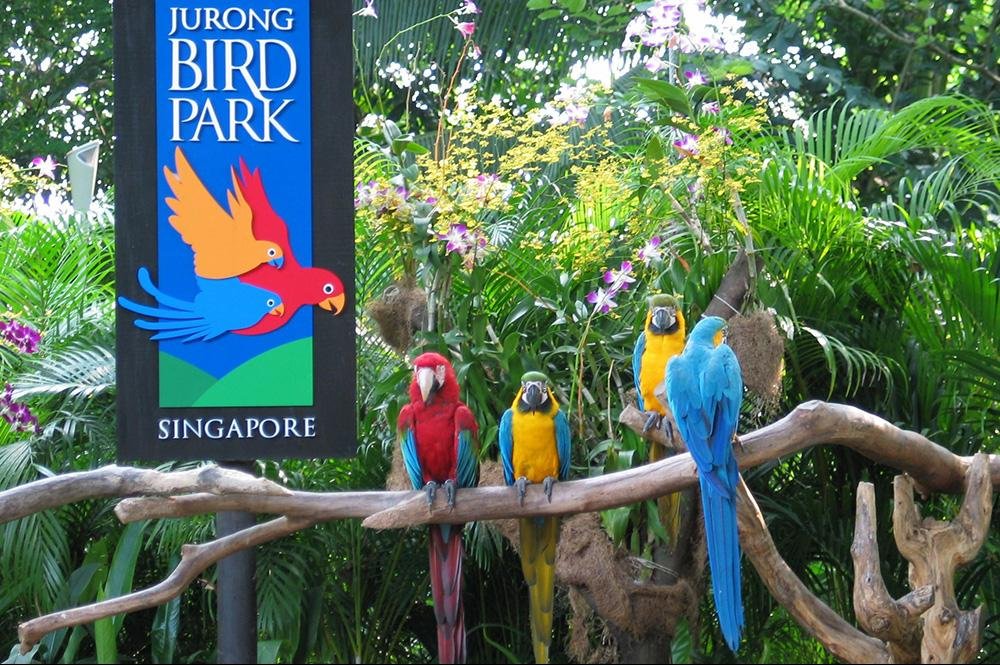 Vakantie naar Singapore (6)