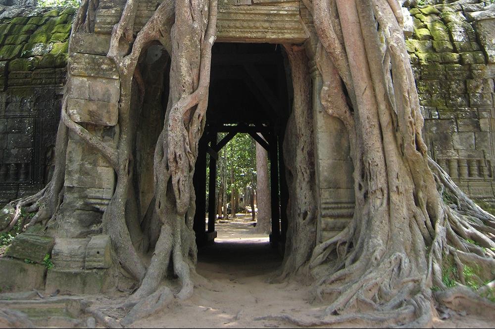 Vakantie naar Cambodja (11)
