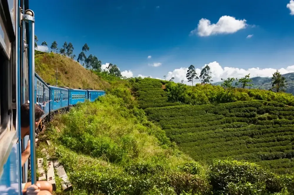 Treinrit door de groene heuvels bij Nuwara Eliya