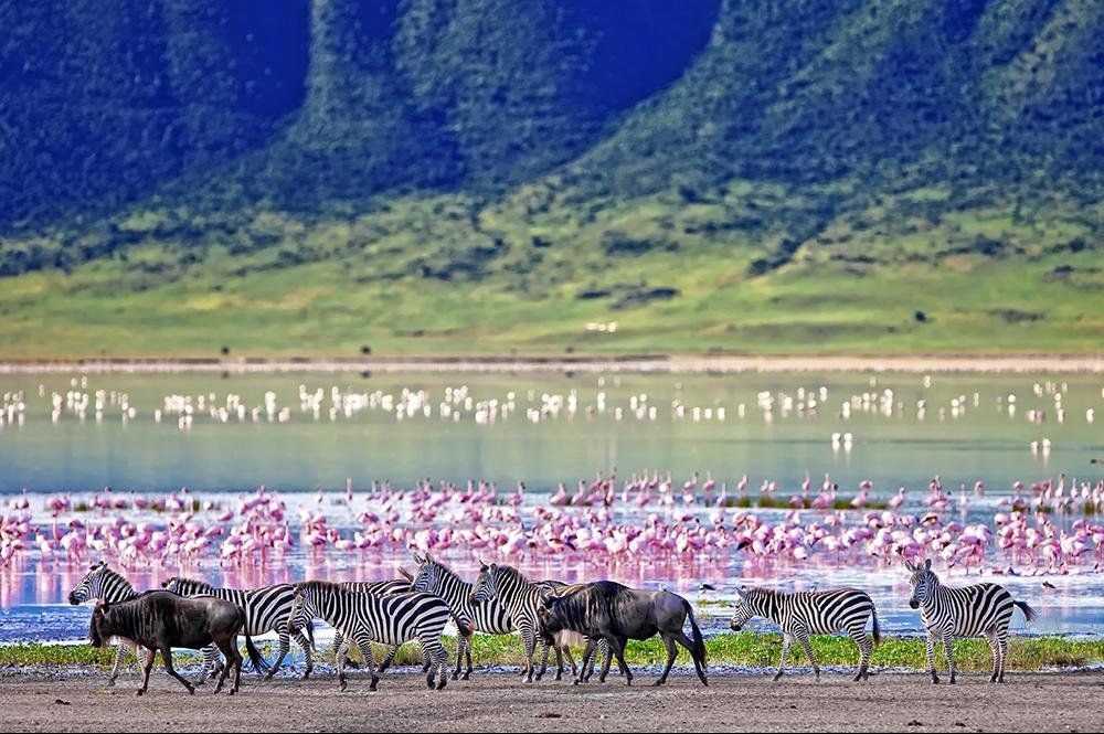 Vakantie naar Tanzania (8)