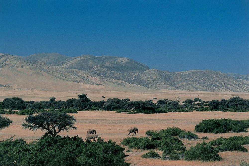 Vakantie naar Namibië (17)