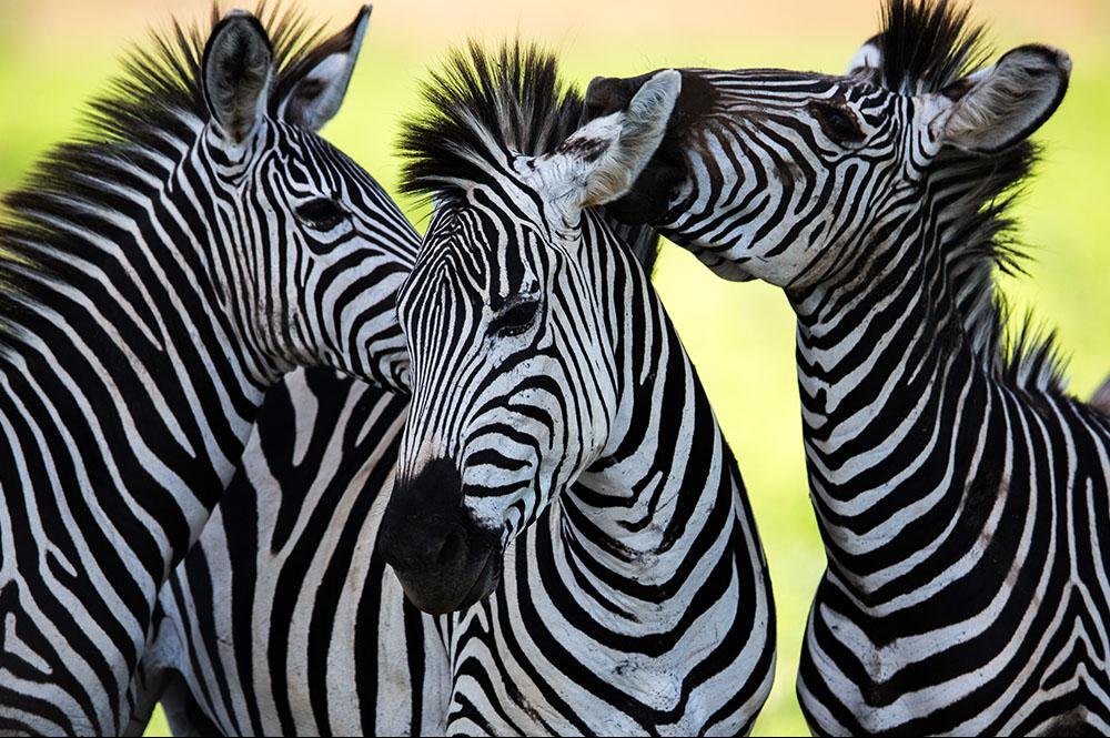 Vakantie naar Tanzania (5)