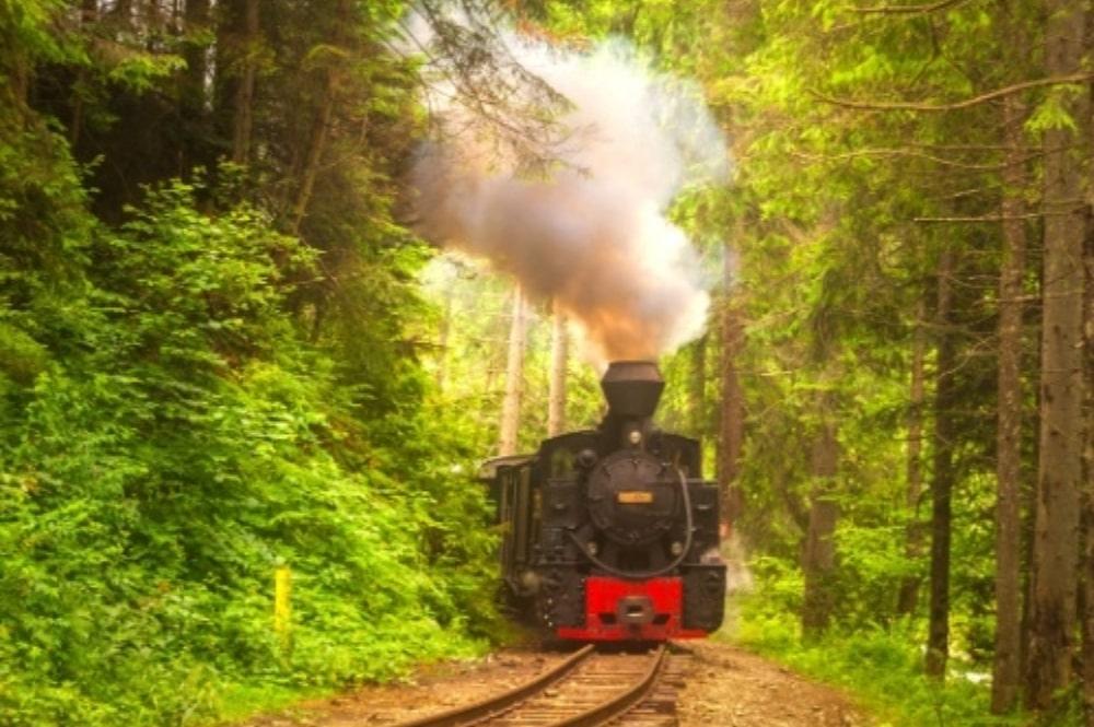 Mocanita stoomtrein, Buccovina