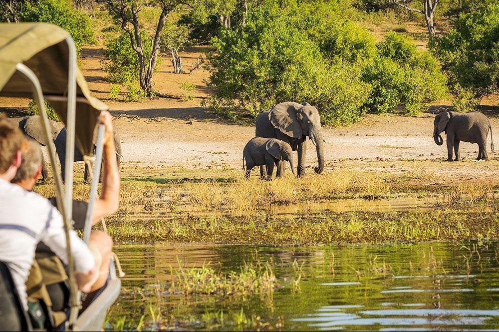 Vakantie naar Botswana (10)