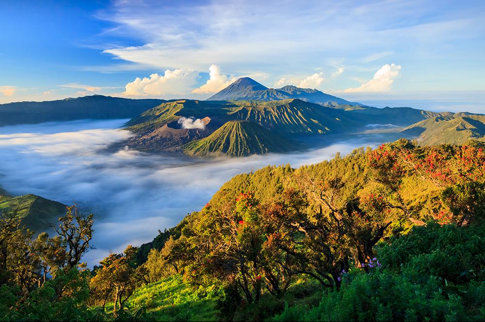 Bromo Tengger Semeru Nationaal Park / Java 