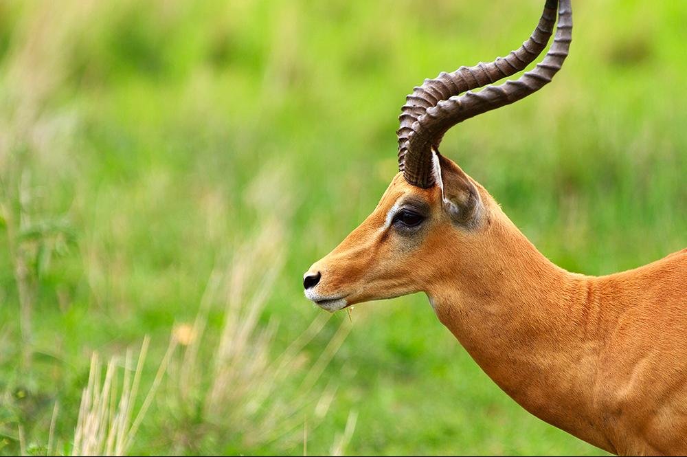 Vakantie naar Tanzania (12)