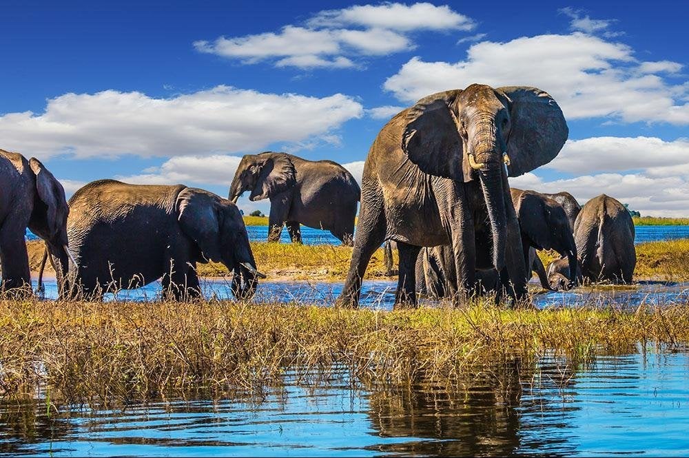 Vakantie naar Botswana (3)