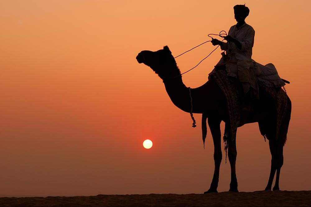 Vakantie naar India (8)