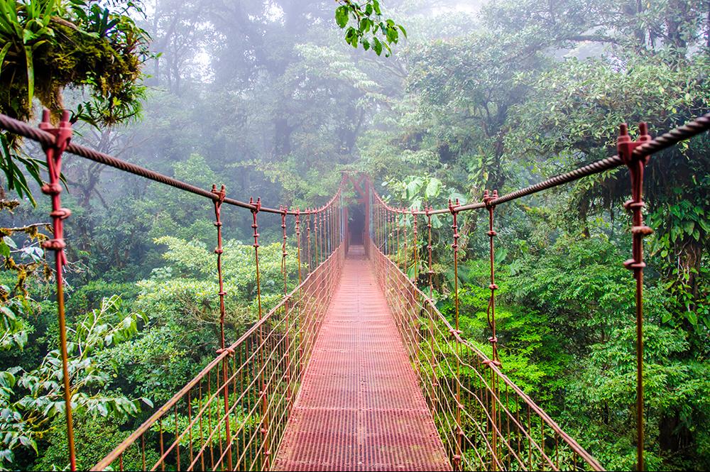 Monteverde Nationaal Park