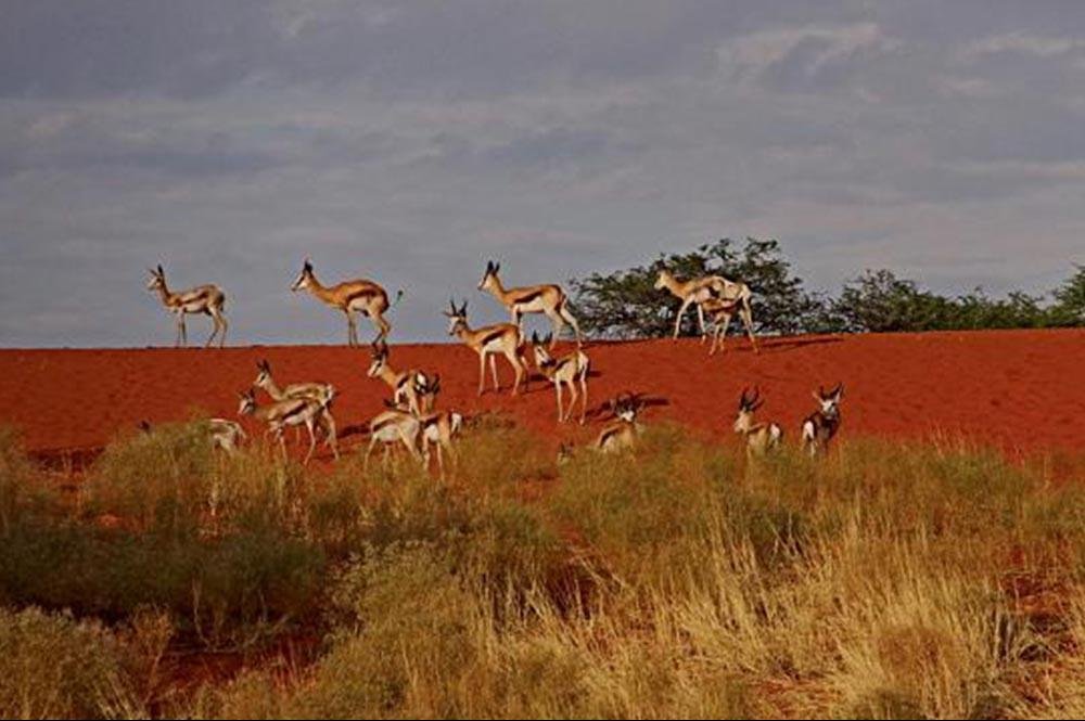 Vakantie naar Namibië (2)