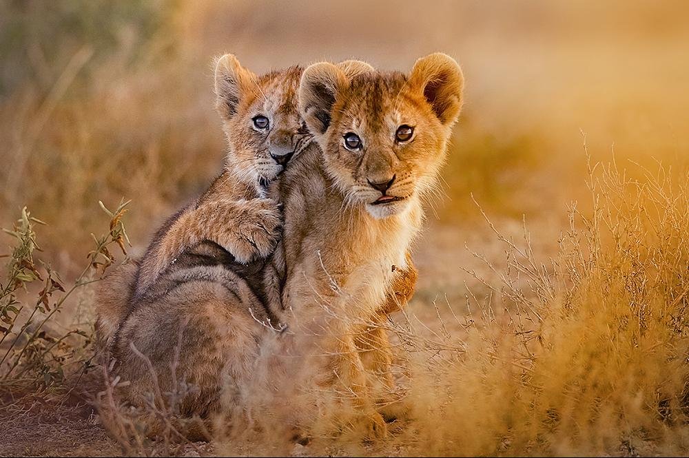Vakantie naar Tanzania (3)