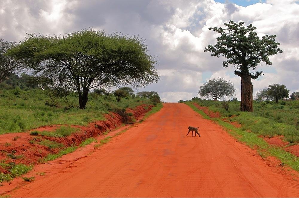 Vakantie Kenia