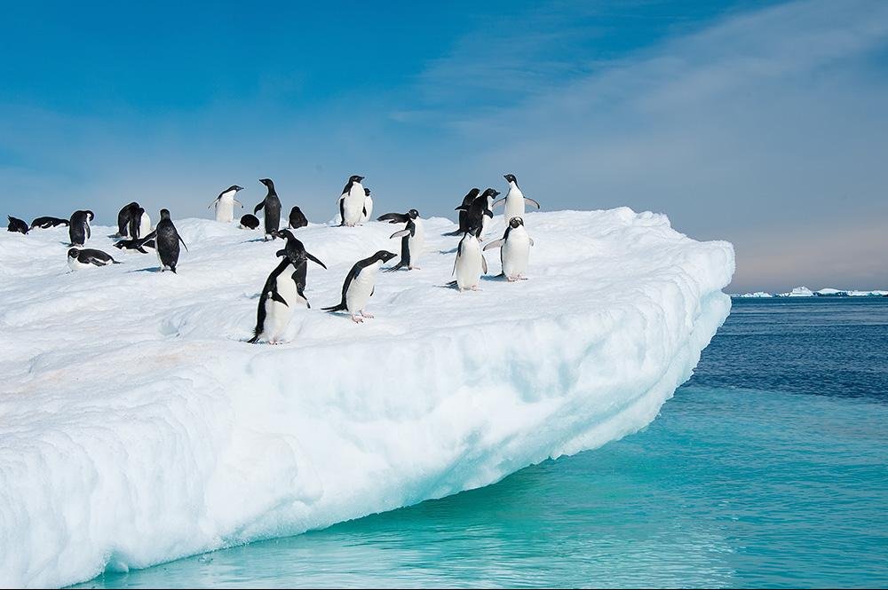 Cruise Zuid-Amerika & Antarctica (2)
