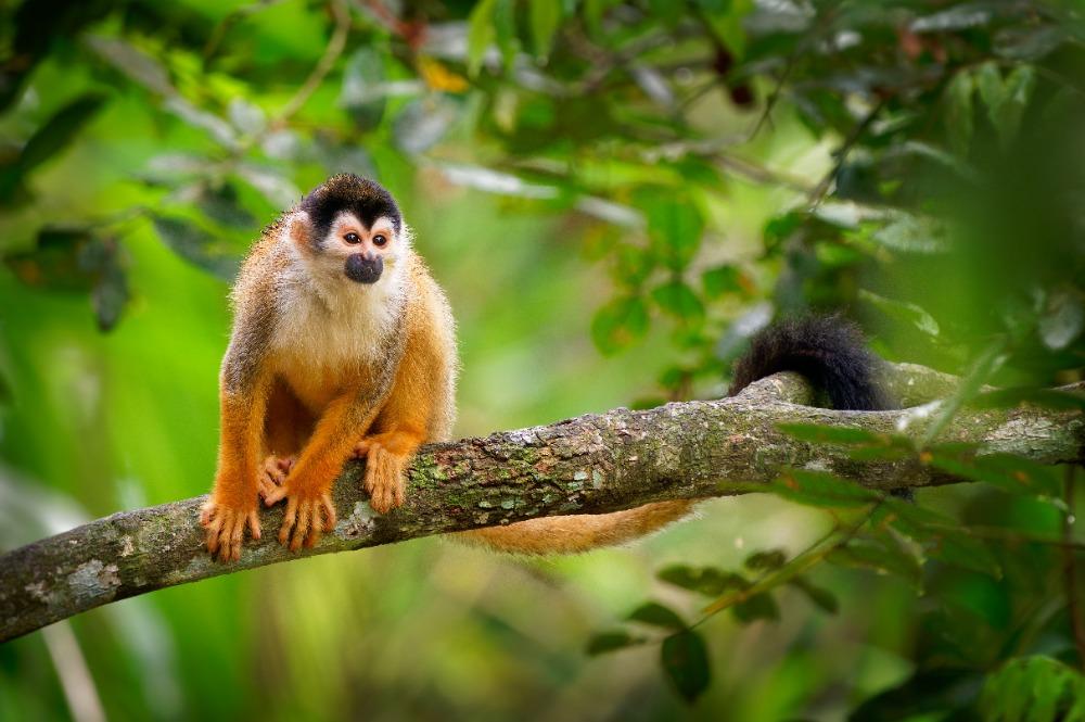 Vakantie in Panama