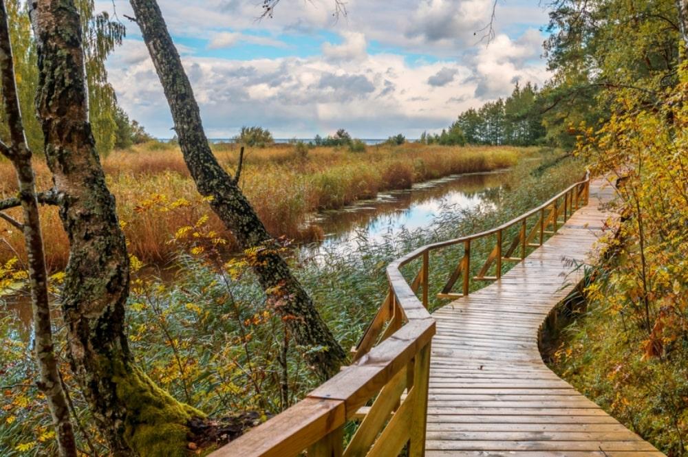 Boardwalk in Letland