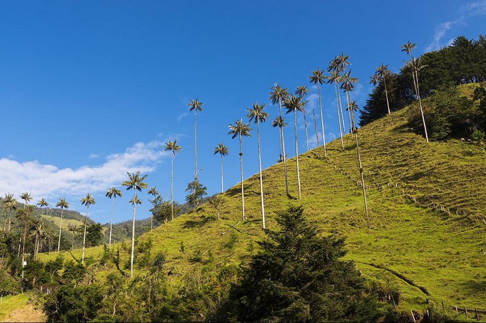 Vakantie naar Colombia (15)