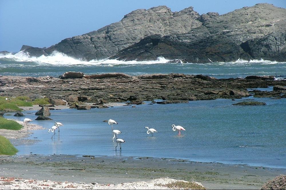 Vakantie naar Namibië (15)