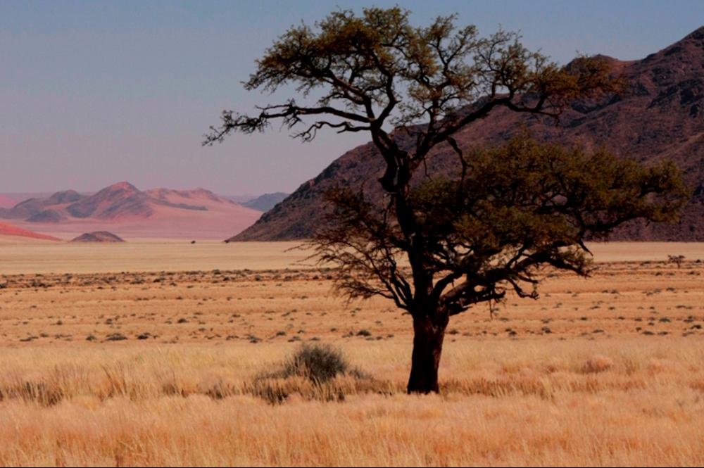 Vakantie naar Namibië (16)