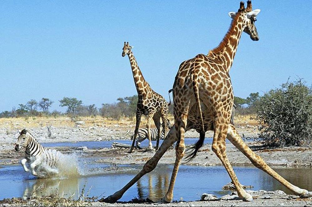 Vakantie naar Namibië (5)
