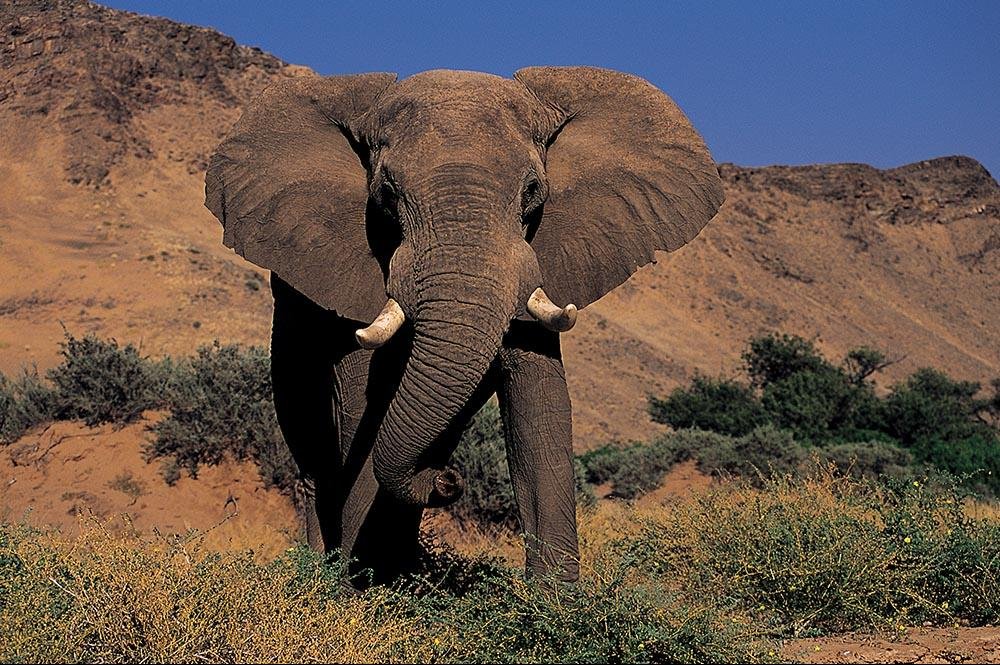 Vakantie naar Namibië (3)