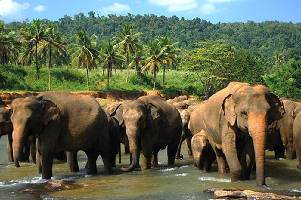 Vakantie naar Sri Lanka (1)