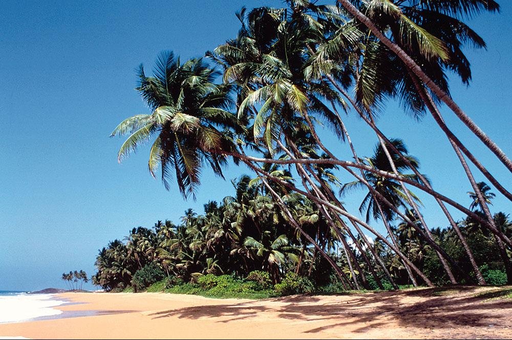 Vakantie naar Sri Lanka (5)
