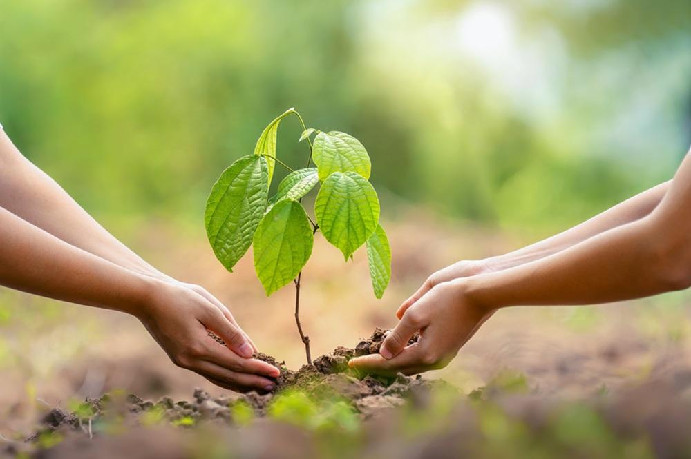 Bijdrage klimaatprojecten