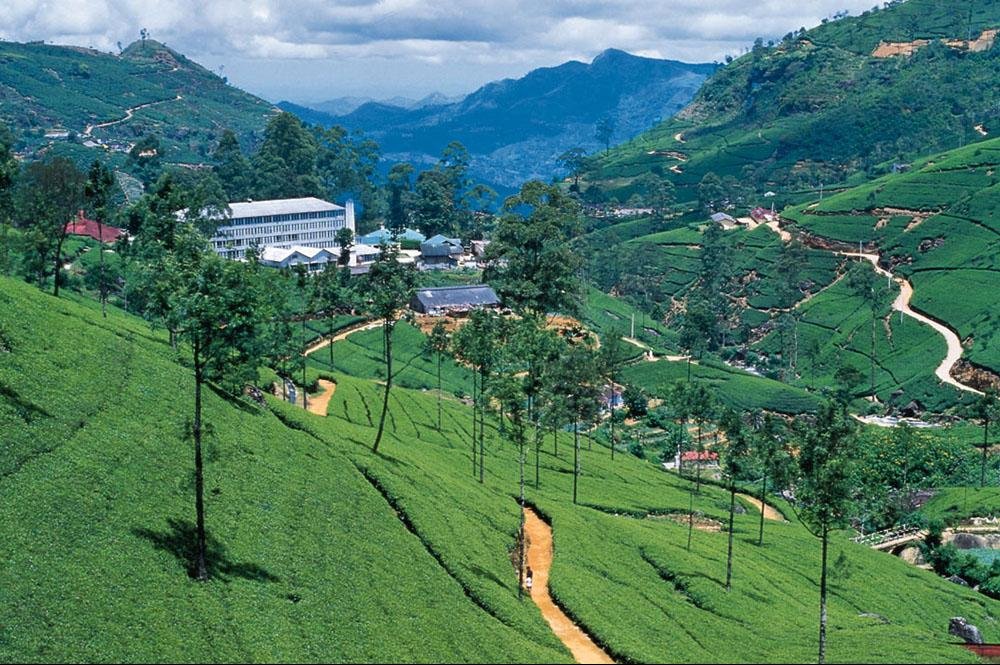 Vakantie naar Sri Lanka (11)