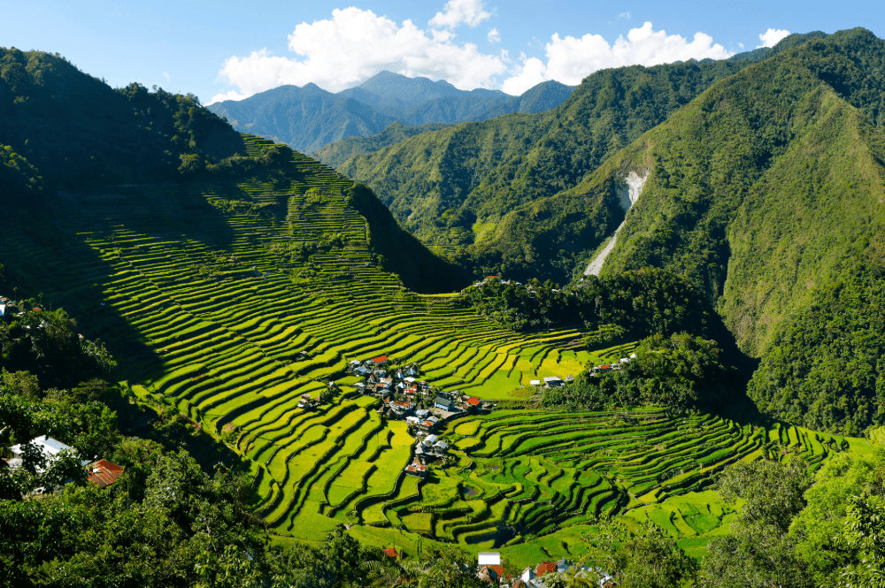 Rijstvelden in Banaue