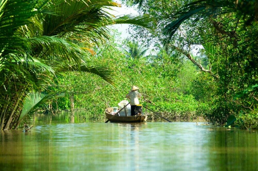 Prachtige jungle Vietnam