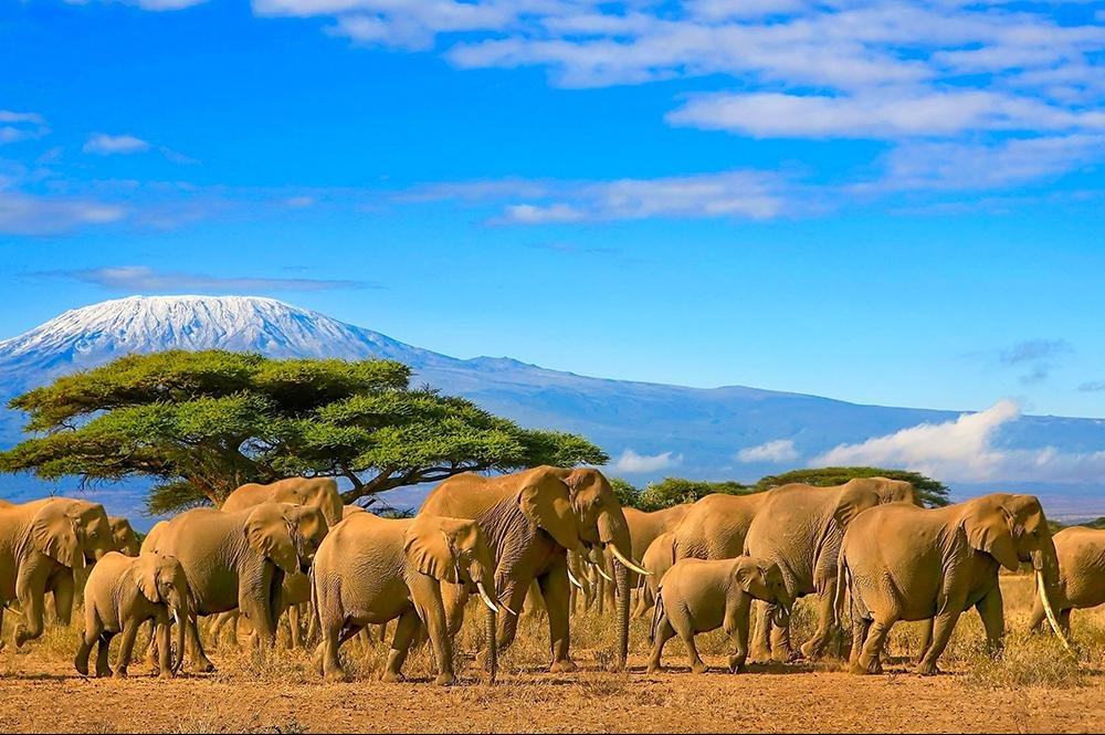 Vakantie naar Tanzania (1)