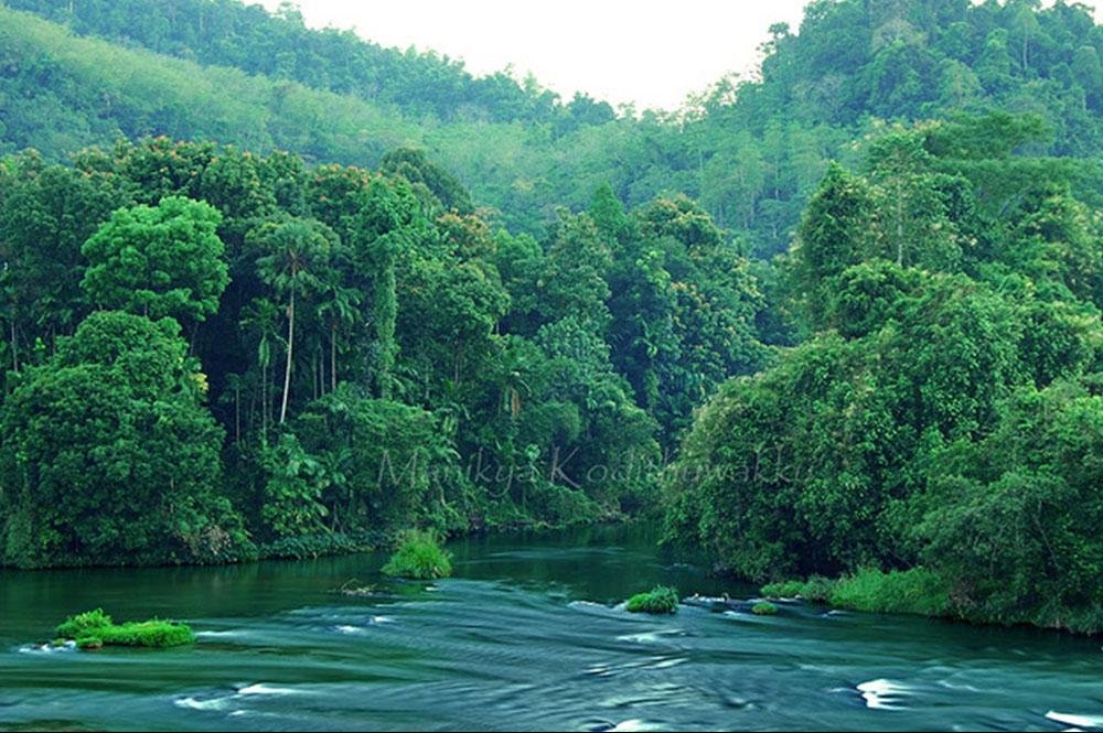 Vakantie naar Sri Lanka (14)