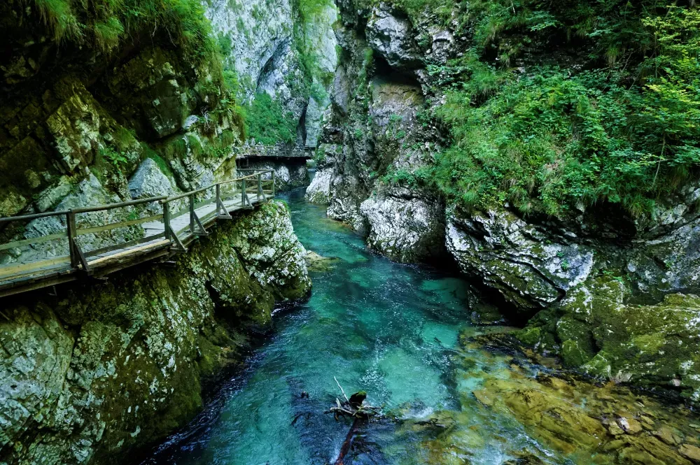 Vintgar Gorge kloof, Slovenië