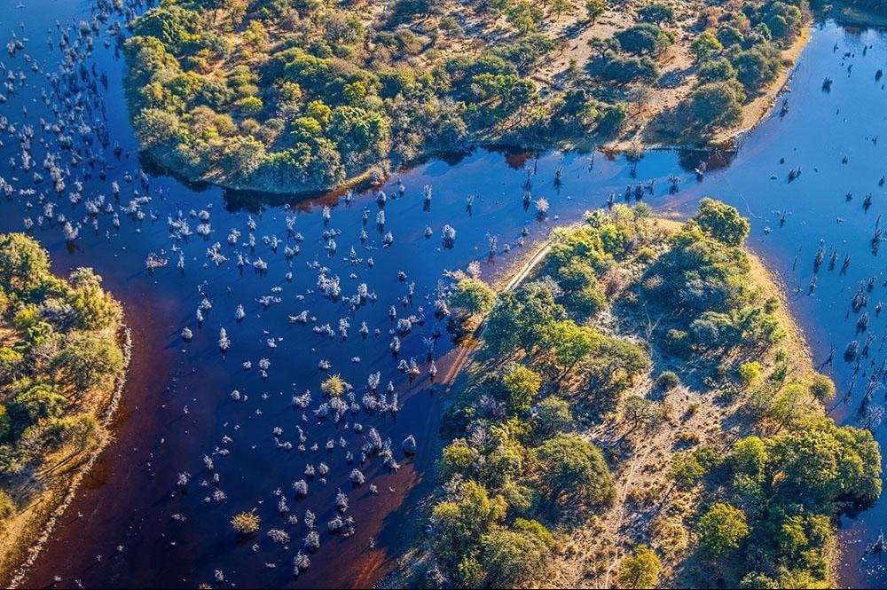 Vakantie naar Botswana (8)
